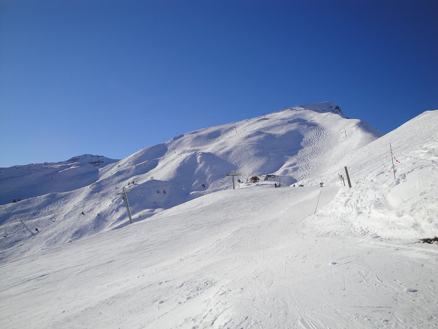 Paisaje nevado con árboles cubiertos de nieve